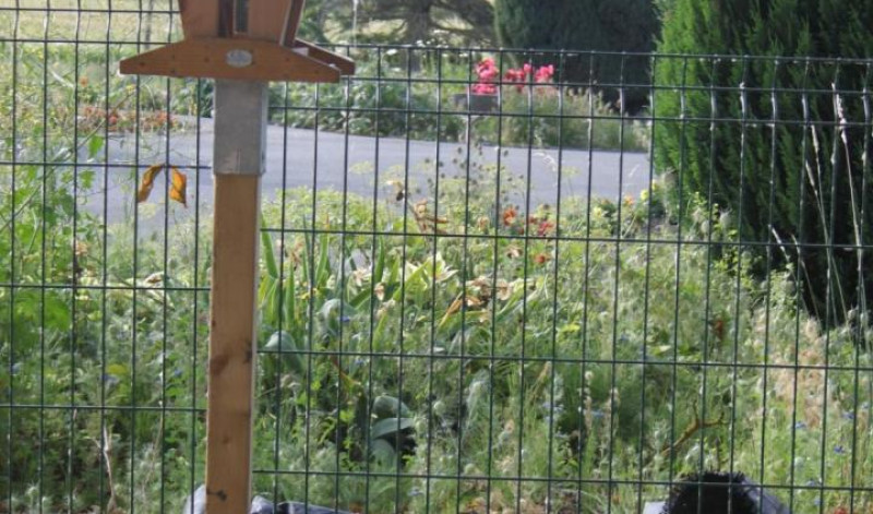 Bienvenue aux oiseaux. 
