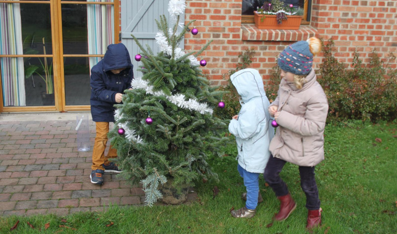 D�coration du sapin de No�l